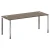 Вяз благородный