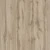 Дуб вотан