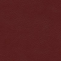 aries526